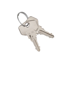 Spare Key for WP Washroom Dispenser