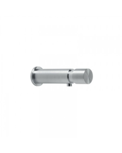 Satin Stainless Steel Panel Mounted Soap Dispenser image on a white background - WP194