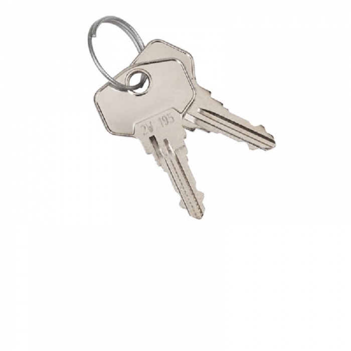 Spare Keys Pair for WP Washroom Dispenser